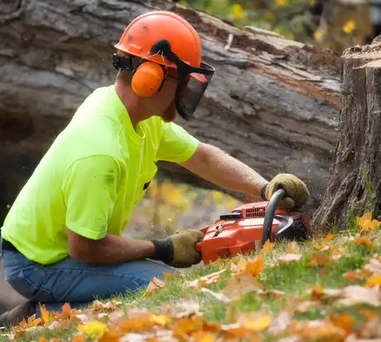 tree services Strasburg